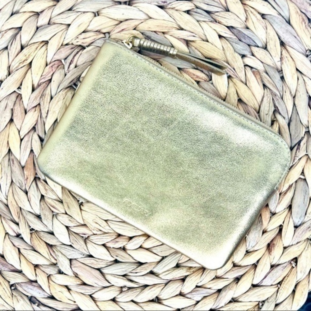 Aritzia Pouch Leather Auxiliary Gold Zipper metallic small essentials clutch